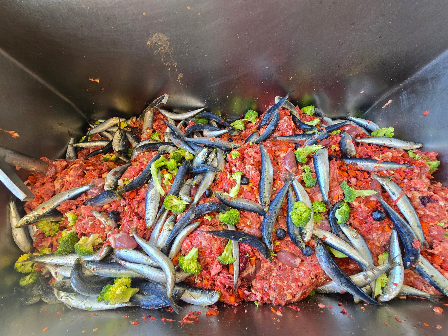 Gourmet Dog Food