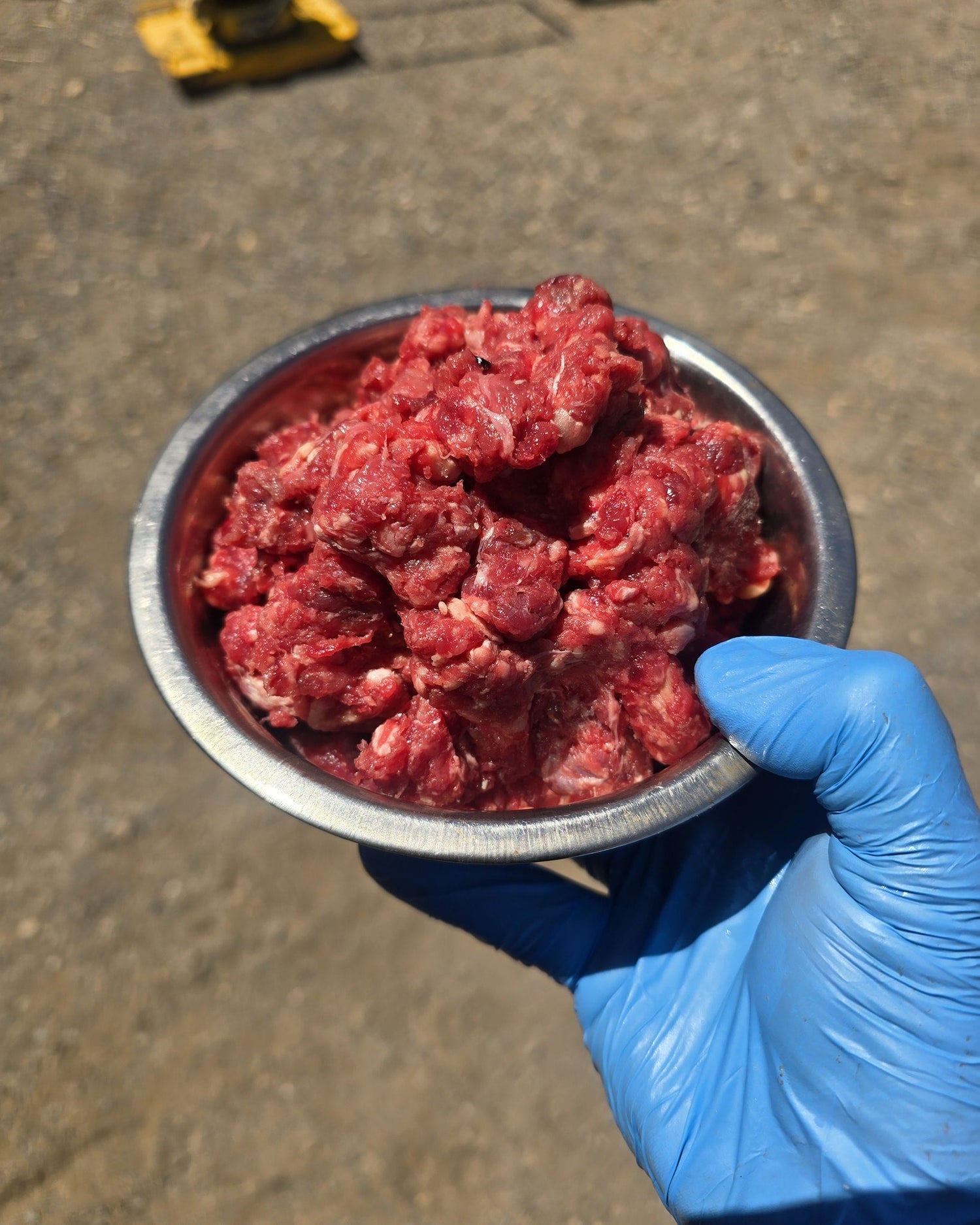 Raw Meat for Dogs & Cats